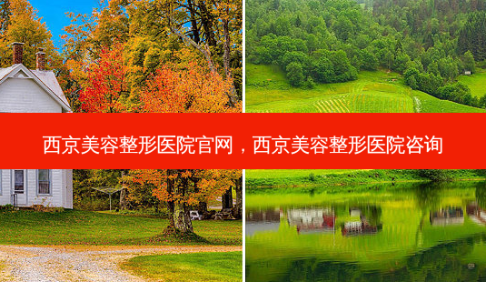 西京美容整形医院官网,西京美容整形医院咨询-第1张图片-容颜志 - 专注变美资讯 西京美容整形医院官网,西京美容整形医院咨询-第1张图片-容颜志 - 专注变美资讯