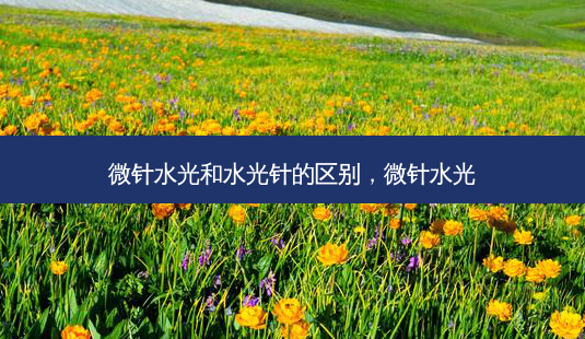 微针水光和水光针的区别，微针水光-第1张图片-容颜志 - 专注变美资讯
