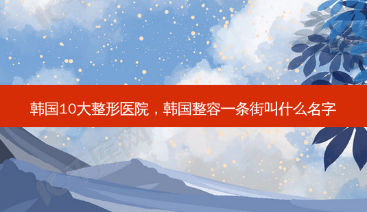 韩国10大整形医院,韩国整容一条街叫什么名字-第1张图片-容颜志 - 专注变美资讯 韩国10大整形医院,韩国整容一条街叫什么名字-第1张图片-容颜志 - 专注变美资讯