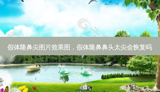 假体隆鼻尖图片效果图,假体隆鼻鼻头太尖会恢复吗-第1张图片-容颜志 - 专注变美资讯 假体隆鼻尖图片效果图,假体隆鼻鼻头太尖会恢复吗-第1张图片-容颜志 - 专注变美资讯