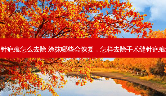 手术缝针疤痕怎么去除 涂抹哪些会恢复,怎样去除手术缝针疤痕最有效-第1张图片-容颜志 - 专注变美资讯 手术缝针疤痕怎么去除 涂抹哪些会恢复,怎样去除手术缝针疤痕最有效-第1张图片-容颜志 - 专注变美资讯