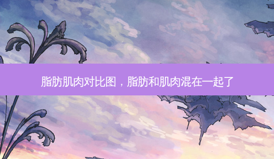 脂肪肌肉对比图,脂肪和肌肉混在一起了-第1张图片-容颜志 - 专注变美资讯 脂肪肌肉对比图,脂肪和肌肉混在一起了-第1张图片-容颜志 - 专注变美资讯