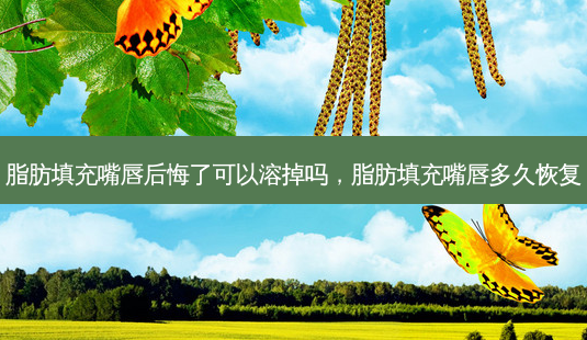 脂肪填充嘴唇后悔了可以溶掉吗,脂肪填充嘴唇多久恢复-第1张图片-容颜志 - 专注变美资讯 脂肪填充嘴唇后悔了可以溶掉吗,脂肪填充嘴唇多久恢复-第1张图片-容颜志 - 专注变美资讯