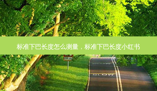标准下巴长度怎么测量，标准下巴长度小红书-第1张图片-容颜志 - 专注变美资讯