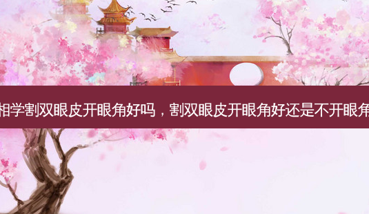 面相学割双眼皮开眼角好吗,割双眼皮开眼角好还是不开眼角好-第1张图片-容颜志 - 专注变美资讯 面相学割双眼皮开眼角好吗,割双眼皮开眼角好还是不开眼角好-第1张图片-容颜志 - 专注变美资讯