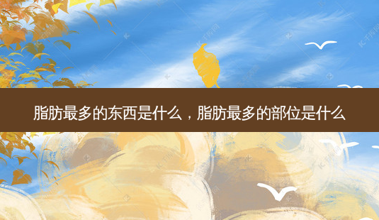 脂肪最多的东西是什么,脂肪最多的部位是什么-第1张图片-容颜志 - 专注变美资讯 脂肪最多的东西是什么,脂肪最多的部位是什么-第1张图片-容颜志 - 专注变美资讯