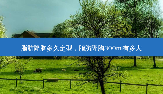 脂肪隆胸多久定型,脂肪隆胸300ml有多大-第1张图片-容颜志 - 专注变美资讯 脂肪隆胸多久定型,脂肪隆胸300ml有多大-第1张图片-容颜志 - 专注变美资讯