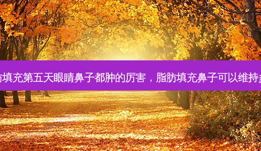 脂肪填充第五天眼睛鼻子都肿的厉害,脂肪填充鼻子可以维持多久-第1张图片-容颜志 - 专注变美资讯 脂肪填充第五天眼睛鼻子都肿的厉害,脂肪填充鼻子可以维持多久-第1张图片-容颜志 - 专注变美资讯