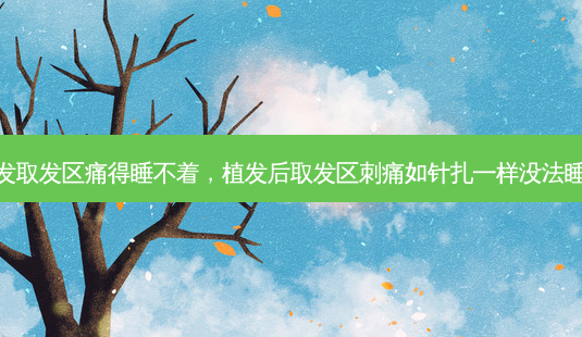 植发取发区痛得睡不着，植发后取发区刺痛如针扎一样没法睡觉-第1张图片-容颜志 - 专注变美资讯