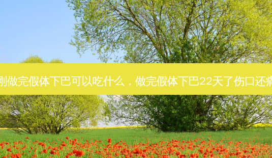 刚做完假体下巴可以吃什么,做完假体下巴22天了伤口还痛-第1张图片-容颜志 - 专注变美资讯 刚做完假体下巴可以吃什么,做完假体下巴22天了伤口还痛-第1张图片-容颜志 - 专注变美资讯
