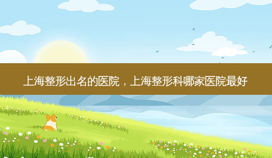 上海整形出名的医院,上海整形科哪家医院 *** -第1张图片-容颜志 - 专注变美资讯 上海整形出名的医院,上海整形科哪家医院 *** -第1张图片-容颜志 - 专注变美资讯