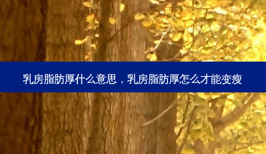 *** 脂肪厚什么意思, *** 脂肪厚怎么才能变瘦-第1张图片-容颜志 - 专注变美资讯 *** 脂肪厚什么意思, *** 脂肪厚怎么才能变瘦-第1张图片-容颜志 - 专注变美资讯