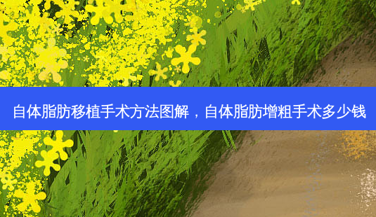 自体脂肪移植手术 *** 图解,自体脂肪增粗手术多少钱-第1张图片-容颜志 - 专注变美资讯 自体脂肪移植手术 *** 图解,自体脂肪增粗手术多少钱-第1张图片-容颜志 - 专注变美资讯