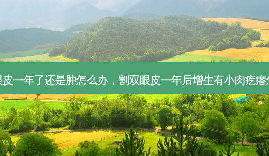 割双眼皮一年了还是肿怎么办,割双眼皮一年后增生有小肉疙瘩怎么办-第1张图片-容颜志 - 专注变美资讯 割双眼皮一年了还是肿怎么办,割双眼皮一年后增生有小肉疙瘩怎么办-第1张图片-容颜志 - 专注变美资讯
