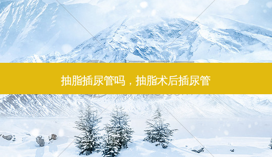 抽脂插尿管吗,抽脂术后插尿管-第1张图片-容颜志 - 专注变美资讯 抽脂插尿管吗,抽脂术后插尿管-第1张图片-容颜志 - 专注变美资讯