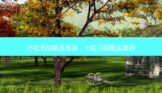 小红书双眼皮吊顶,小红书双眼皮案例-第1张图片-容颜志 - 专注变美资讯 小红书双眼皮吊顶,小红书双眼皮案例-第1张图片-容颜志 - 专注变美资讯