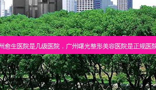 广州愈生医院是几级医院,广州曙光整形美容医院是正规医院吗-第1张图片-容颜志 - 专注变美资讯 广州愈生医院是几级医院,广州曙光整形美容医院是正规医院吗-第1张图片-容颜志 - 专注变美资讯