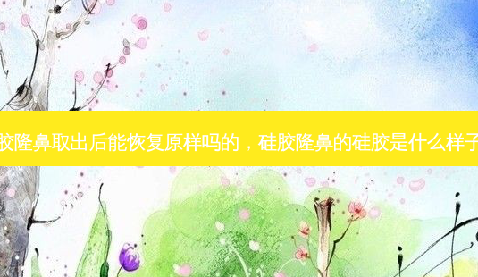 硅胶隆鼻取出后能恢复原样吗的,硅胶隆鼻的硅胶是什么样子的-第1张图片-容颜志 - 专注变美资讯 硅胶隆鼻取出后能恢复原样吗的,硅胶隆鼻的硅胶是什么样子的-第1张图片-容颜志 - 专注变美资讯