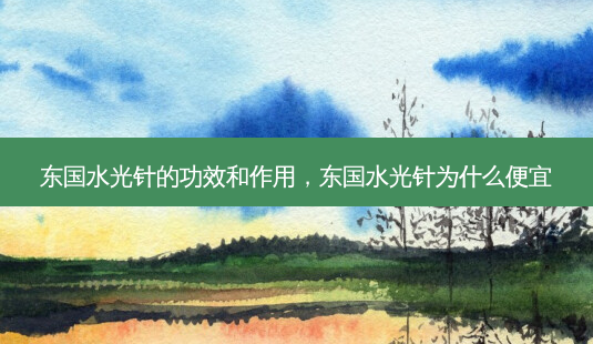 东国水光针的功效和作用,东国水光针为什么便宜-第1张图片-容颜志 - 专注变美资讯 东国水光针的功效和作用,东国水光针为什么便宜-第1张图片-容颜志 - 专注变美资讯