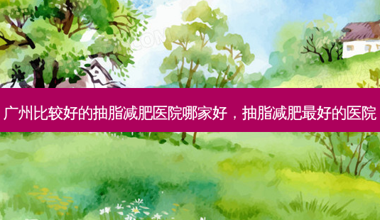 广州比较好的抽脂减肥医院哪家好，抽脂减肥 *** 的医院-第1张图片-容颜志 - 专注变美资讯