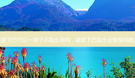 硅胶下巴可以一辈子不取出来吗，硅胶下巴取出会恢复吗图片-第1张图片-容颜志 - 专注变美资讯