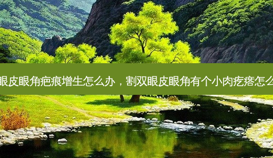 割双眼皮眼角疤痕增生怎么办,割双眼皮眼角有个小肉疙瘩怎么回事-第1张图片-容颜志 - 专注变美资讯 割双眼皮眼角疤痕增生怎么办,割双眼皮眼角有个小肉疙瘩怎么回事-第1张图片-容颜志 - 专注变美资讯