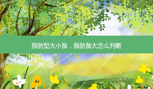 脂肪型大小脸,脂肪脸大怎么判断-第1张图片-容颜志 - 专注变美资讯 脂肪型大小脸,脂肪脸大怎么判断-第1张图片-容颜志 - 专注变美资讯
