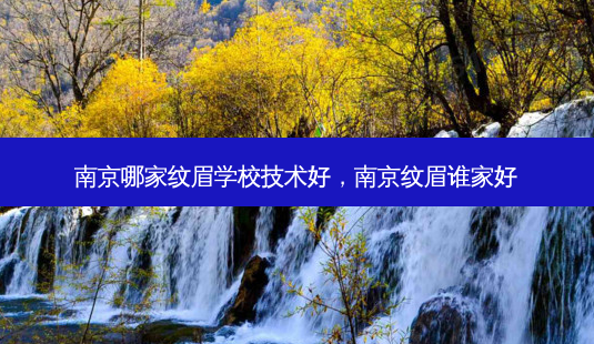 南京哪家纹眉学校技术好，南京纹眉谁家好-第1张图片-容颜志 - 专注变美资讯