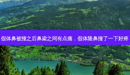 假体鼻被撞之后鼻梁之间有点痛,假体隆鼻撞了一下好疼-第1张图片-容颜志 - 专注变美资讯 假体鼻被撞之后鼻梁之间有点痛,假体隆鼻撞了一下好疼-第1张图片-容颜志 - 专注变美资讯