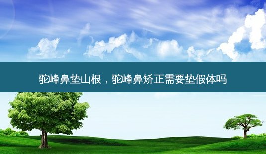 驼峰鼻垫山根,驼峰鼻矫正需要垫假体吗-第1张图片-容颜志 - 专注变美资讯 驼峰鼻垫山根,驼峰鼻矫正需要垫假体吗-第1张图片-容颜志 - 专注变美资讯