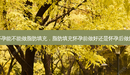 怀孕能不能做脂肪填充，脂肪填充怀孕前做好还是怀孕后做好-第1张图片-容颜志 - 专注变美资讯