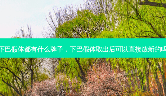 下巴假体都有什么牌子,下巴假体取出后可以直接放新的吗-第1张图片-容颜志 - 专注变美资讯 下巴假体都有什么牌子,下巴假体取出后可以直接放新的吗-第1张图片-容颜志 - 专注变美资讯