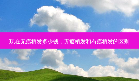 现在无痕植发多少钱，无痕植发和有痕植发的区别-第1张图片-容颜志 - 专注变美资讯