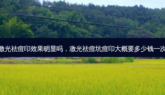 激光祛痘印效果明显吗,激光祛痘坑痘印大概要多少钱一次-第1张图片-容颜志 - 专注变美资讯 激光祛痘印效果明显吗,激光祛痘坑痘印大概要多少钱一次-第1张图片-容颜志 - 专注变美资讯