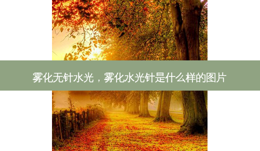 雾化无针水光,雾化水光针是什么样的图片-第1张图片-容颜志 - 专注变美资讯 雾化无针水光,雾化水光针是什么样的图片-第1张图片-容颜志 - 专注变美资讯