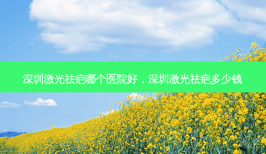 深圳激光祛疤哪个医院好,深圳激光祛疤多少钱-第1张图片-容颜志 - 专注变美资讯 深圳激光祛疤哪个医院好,深圳激光祛疤多少钱-第1张图片-容颜志 - 专注变美资讯