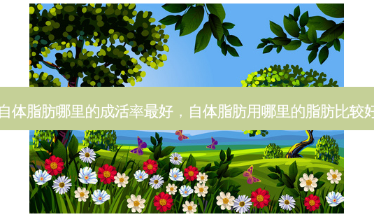 自体脂肪哪里的成活率 *** ,自体脂肪用哪里的脂肪比较好-第1张图片-容颜志 - 专注变美资讯 自体脂肪哪里的成活率 *** ,自体脂肪用哪里的脂肪比较好-第1张图片-容颜志 - 专注变美资讯