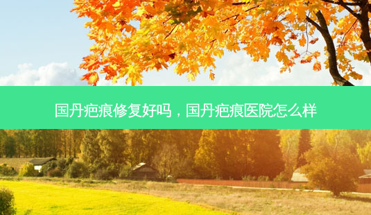 国丹疤痕修复好吗,国丹疤痕医院怎么样-第1张图片-容颜志 - 专注变美资讯 国丹疤痕修复好吗,国丹疤痕医院怎么样-第1张图片-容颜志 - 专注变美资讯