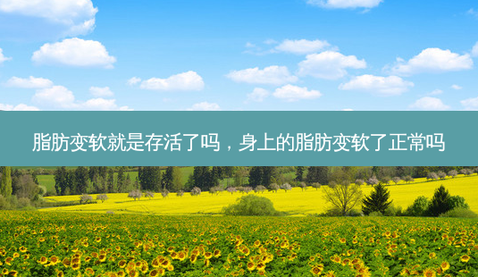 脂肪变软就是存活了吗,身上的脂肪变软了正常吗-第1张图片-容颜志 - 专注变美资讯 脂肪变软就是存活了吗,身上的脂肪变软了正常吗-第1张图片-容颜志 - 专注变美资讯