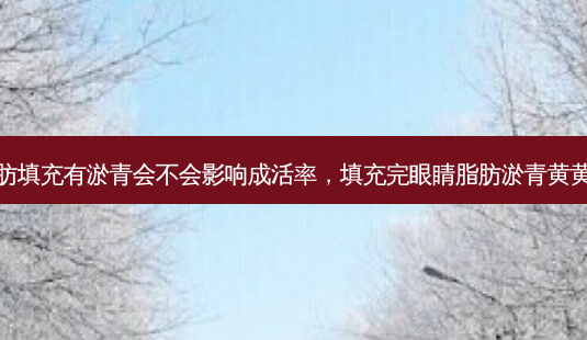 脂肪填充有淤青会不会影响成活率,填充完眼睛脂肪淤青黄黄的-第1张图片-容颜志 - 专注变美资讯 脂肪填充有淤青会不会影响成活率,填充完眼睛脂肪淤青黄黄的-第1张图片-容颜志 - 专注变美资讯