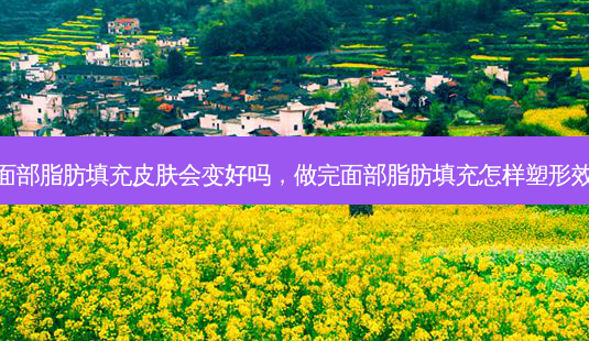 做完面部脂肪填充皮肤会变好吗,做完面部脂肪填充怎样塑形效果好-第1张图片-容颜志 - 专注变美资讯 做完面部脂肪填充皮肤会变好吗,做完面部脂肪填充怎样塑形效果好-第1张图片-容颜志 - 专注变美资讯