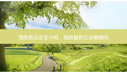 脂肪挤压会变小吗,脂肪被挤压会燃烧吗-第1张图片-容颜志 - 专注变美资讯 脂肪挤压会变小吗,脂肪被挤压会燃烧吗-第1张图片-容颜志 - 专注变美资讯
