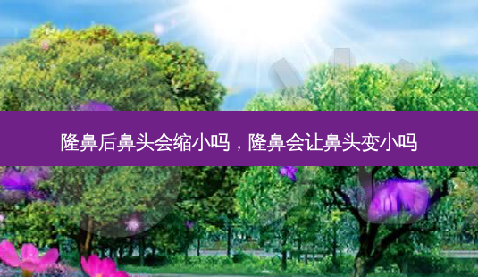 隆鼻后鼻头会缩小吗,隆鼻会让鼻头变小吗-第1张图片-容颜志 - 专注变美资讯 隆鼻后鼻头会缩小吗,隆鼻会让鼻头变小吗-第1张图片-容颜志 - 专注变美资讯