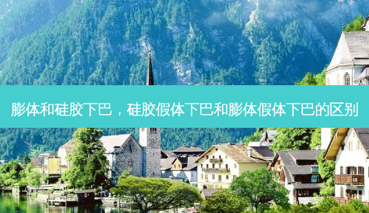 膨体和硅胶下巴,硅胶假体下巴和膨体假体下巴的区别-第1张图片-容颜志 - 专注变美资讯 膨体和硅胶下巴,硅胶假体下巴和膨体假体下巴的区别-第1张图片-容颜志 - 专注变美资讯
