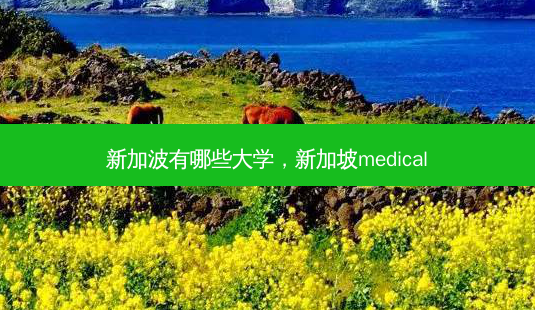 新加波有哪些大学，新加坡medical-第1张图片-容颜志 - 专注变美资讯