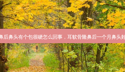 耳软骨隆鼻后鼻头有个包很硬怎么回事,耳软骨隆鼻后一个月鼻头好大怎么办-第1张图片-容颜志 - 专注变美资讯 耳软骨隆鼻后鼻头有个包很硬怎么回事,耳软骨隆鼻后一个月鼻头好大怎么办-第1张图片-容颜志 - 专注变美资讯