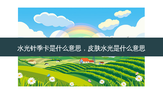 水光针季卡是什么意思,皮肤水光是什么意思-第1张图片-容颜志 - 专注变美资讯 水光针季卡是什么意思,皮肤水光是什么意思-第1张图片-容颜志 - 专注变美资讯