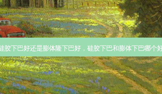 硅胶下巴好还是膨体隆下巴好,硅胶下巴和膨体下巴哪个好-第1张图片-容颜志 - 专注变美资讯 硅胶下巴好还是膨体隆下巴好,硅胶下巴和膨体下巴哪个好-第1张图片-容颜志 - 专注变美资讯