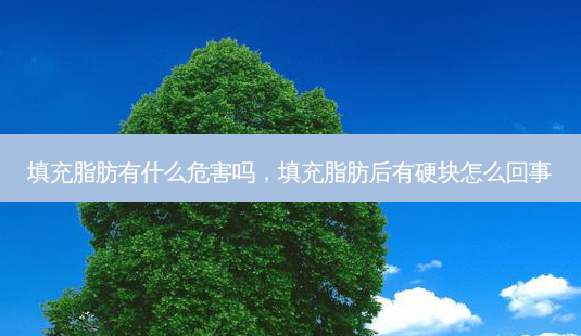 填充脂肪有什么危害吗,填充脂肪后有硬块怎么回事-第1张图片-容颜志 - 专注变美资讯 填充脂肪有什么危害吗,填充脂肪后有硬块怎么回事-第1张图片-容颜志 - 专注变美资讯