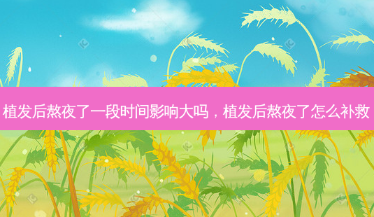 植发后熬夜了一段时间影响大吗,植发后熬夜了怎么补救-第1张图片-容颜志 - 专注变美资讯 植发后熬夜了一段时间影响大吗,植发后熬夜了怎么补救-第1张图片-容颜志 - 专注变美资讯